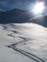 primaneve 10-12-07
